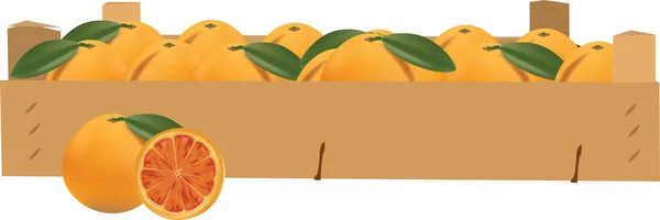 Krabice pomeranč — Stockový vektor