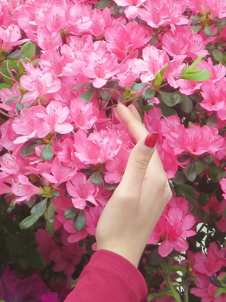 Perfil de girl with flowers — Fotografia de Stock