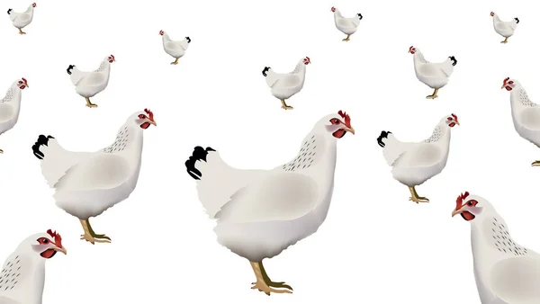 Курица во дворе белого животного — стоковый вектор