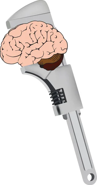 Zahnradschlüssel strafft menschliches Gehirn — Stockvektor