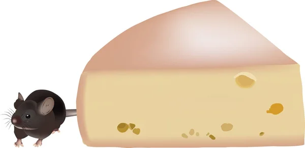 Forma de queso con roedor de rata — Vector de stock