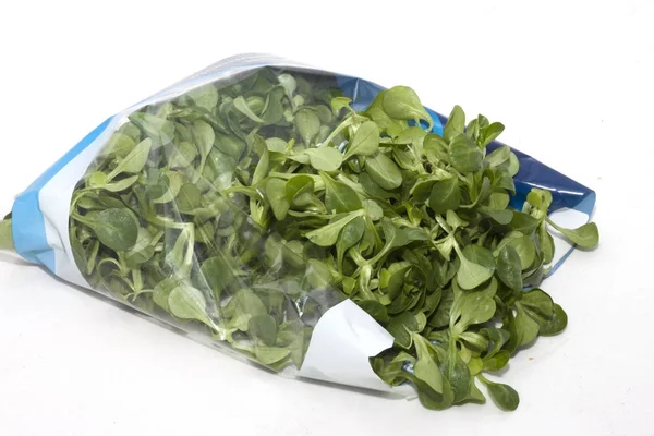 Valerian Style Canned Salad — Stock Photo, Image
