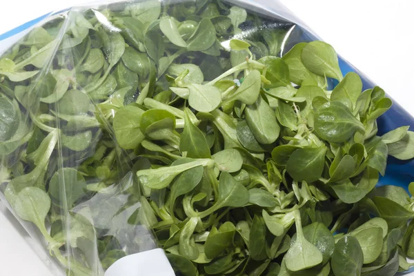 Valerian Style Canned Salad — Stock Photo, Image