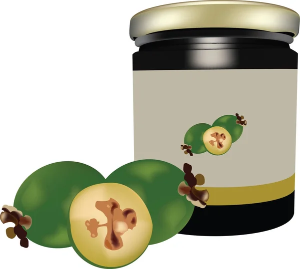 Καρπός της τα feijoas εξωτικά πράσινα Φειζοα-Γκουαγιαμπο — Διανυσματικό Αρχείο