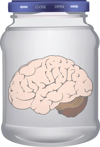 Glazen pot met hermetische sluiting met hersenen binnen — Stockvector