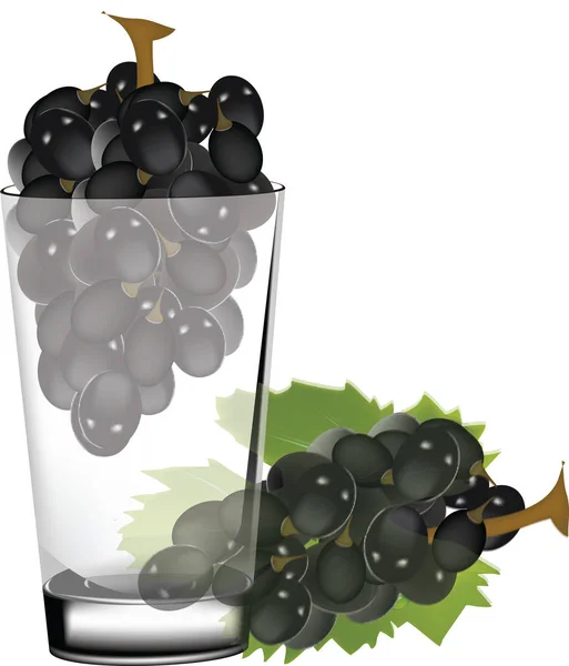 Üveg tartalmazó csomó szőlő — Stock Vector