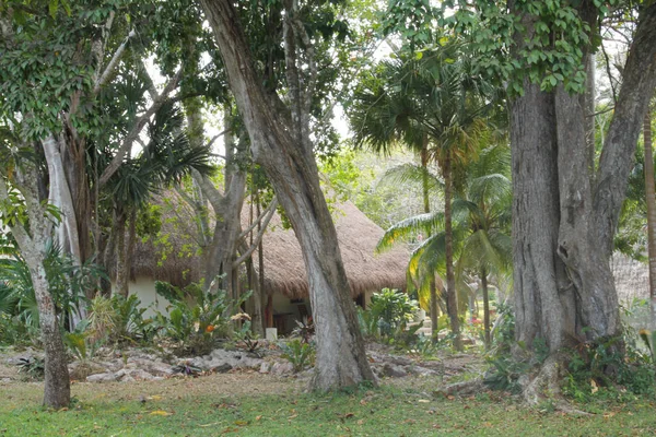 Paisagem Típica Mexicana Yucatan México — Fotografia de Stock