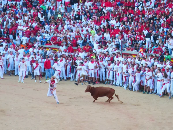 Tradizionale Mostra Annuale Corrdia Pamplona Spagna — Foto Stock