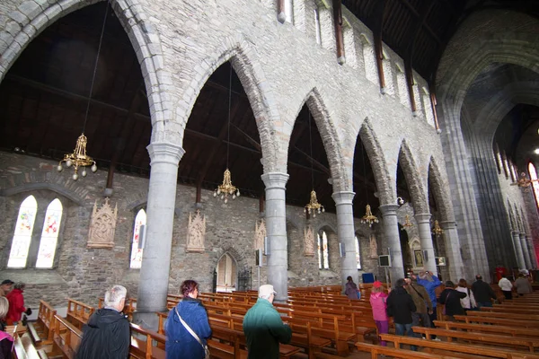 Mary Gothic Cathedral Ireland — Stock Photo, Image