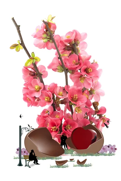 Рожева Квітка Дикий Персиковий Цвіт — стокове фото