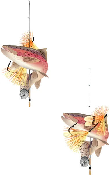 Rybolov ryb sladkovodní losos pstruh — Stockový vektor