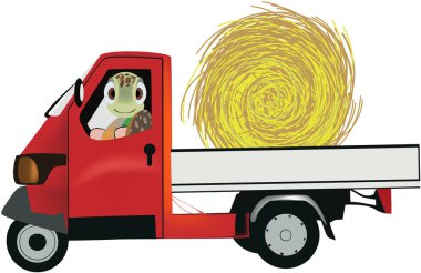 Kaplumbağa saman topu sürüşlü kırmızı minibüs