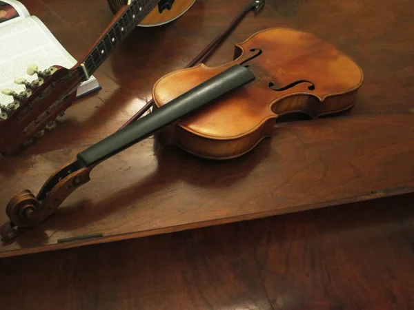 バイオリンの合唱団 — ストック写真