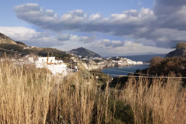 イスキア島のカンパニアナポリ Ischia Town — ストック写真