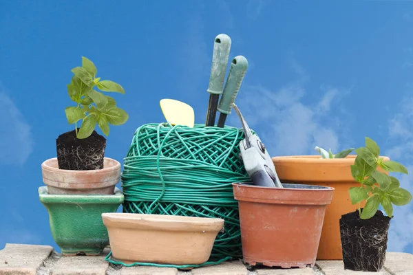 Berkebun Aksesoris Plastik Tali Pot Dan Bibit Kemangi — Stok Foto