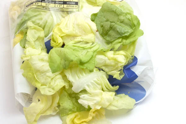 Salada Alface Gelada Limpa Servida — Fotografia de Stock