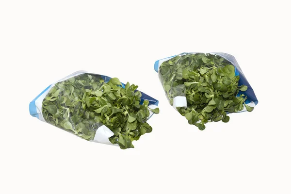 Valerian Salad Cut Clean Bag Ready Use — Stock Photo, Image