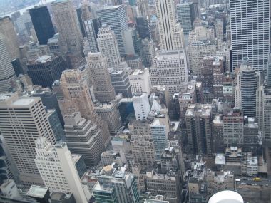 Manhattan'ın kentsel ormanda