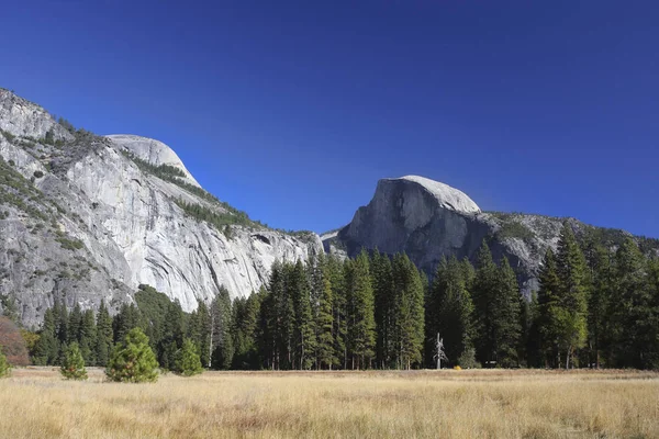 Half Dome - Yosemite National Park — Stock Photo, Image