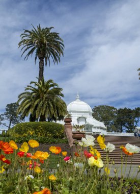 Konservatuvarı çiçek - San Francisco