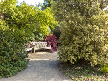 Patika boyunca gözlerden uzak tezgah