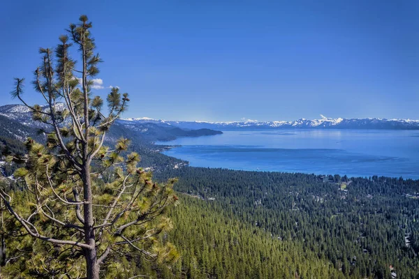 North Lake Tahoe View — Stock Photo, Image