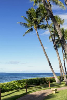 Sabah görünümü Pasifik Okyanusu