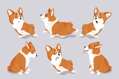 Corgi köpek yavruları seti. İzole edilmiş, el çizimi, vektör illüstrasyonu.