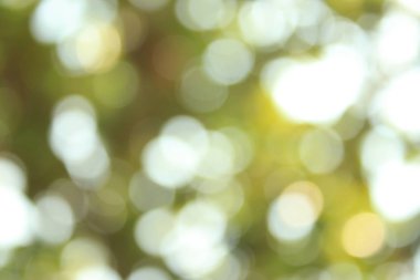 Doğa üzerindeki yeşil bokeh bulanık arkaplan, yeşil bokeh arkaplan