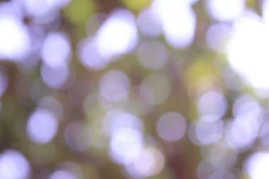 Doğa üzerindeki yeşil bokeh bulanık arkaplan, yeşil bokeh arkaplan