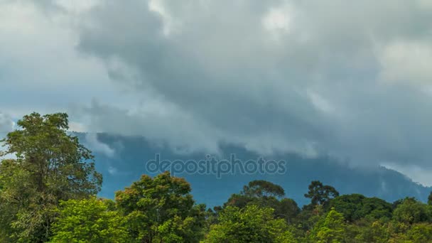 Il movimento delle nuvole attraverso la montagna e la foresta verde stagione delle piogge, Thailandia . — Video Stock