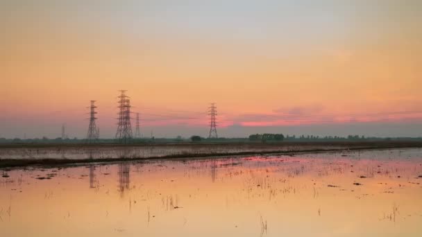 Zoom Out Schot Rijst Ingediend Spanning Elektriciteitspalen Zonsondergang — Stockvideo