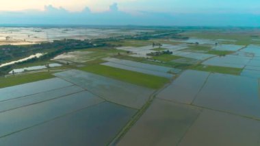 Tayland 'da yağmur mevsiminde insansız hava aracının klibi pirinç tarlalarını sular altında bıraktı..