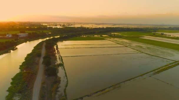 View Flygfoto Video Från Flygande Drönare Över Landsbygden Byn Thailand — Stockvideo