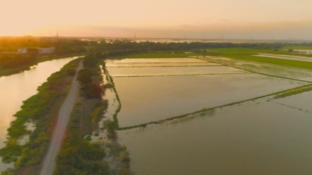 View Vídeo Clip Aéreo Avión Tripulado Volador Sobre Una Aldea — Vídeo de stock