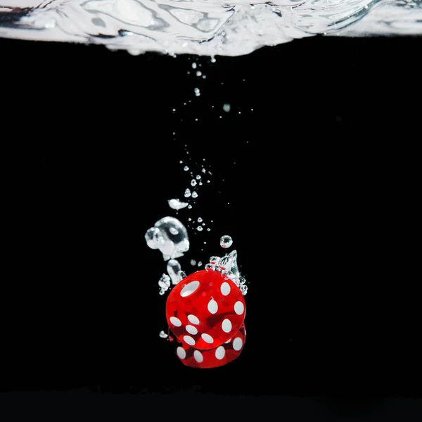 Dados jugando en el agua — Foto de Stock