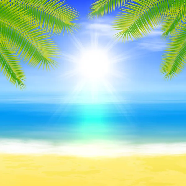 Playa y mar tropical con hojas de palmera. Fondo de verano . — Vector de stock