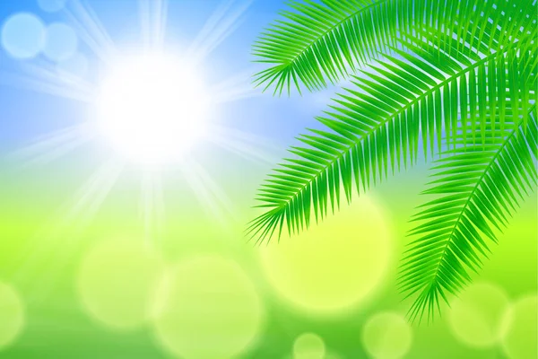 Fondo soleado con sol brillante y hojas de palma — Vector de stock