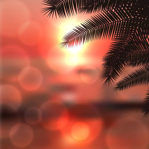 Θάλασσα κόκκινο ηλιοβασίλεμα με φύλλα Φοινικιά και φως στο φακό — Διανυσματικό Αρχείο
