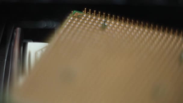 Computador processador de chip na macro placa-mãe — Vídeo de Stock