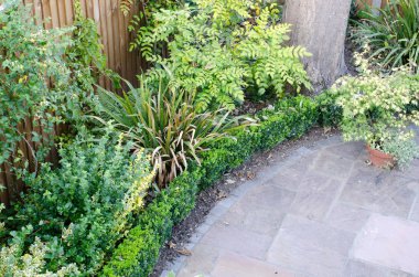 Kutu çit ve çalılar ile yukarıdan dairesel veranda kenarına