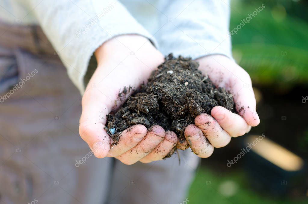  handful of soil 