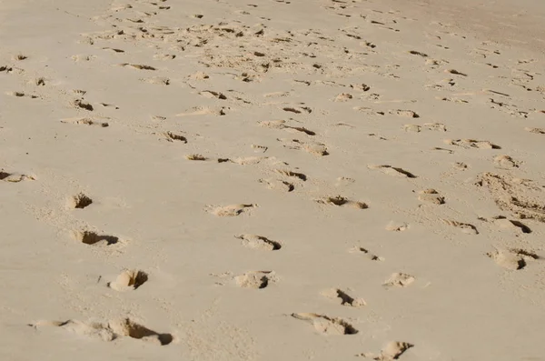 多くの砂の足跡 — ストック写真