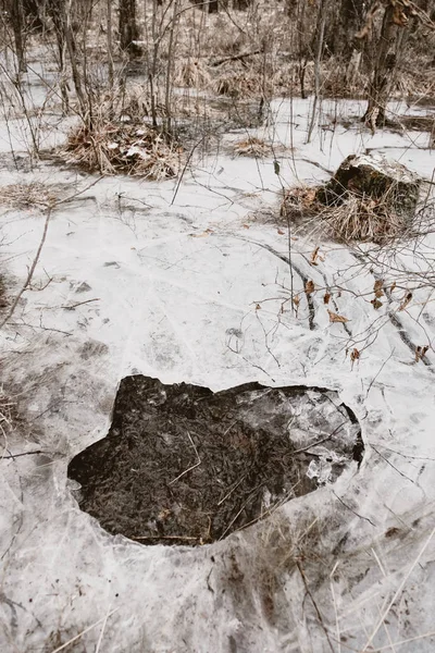 Büyük pis delikte donmuş bir bataklık