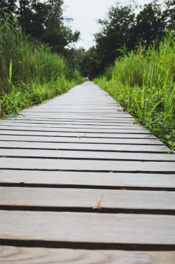 moor reed ile ahşap yolunda