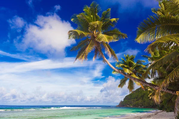 Palm över den vackra lagunen på ön Praslin, Seychellerna — Stockfoto