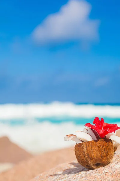 Obraz soku świeżego kokosa na tropikalnej plaży. Wyspa La Digue, Seszele — Zdjęcie stockowe