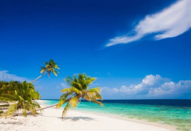 mükemmel tropikal beyaz kum plaj tatil
