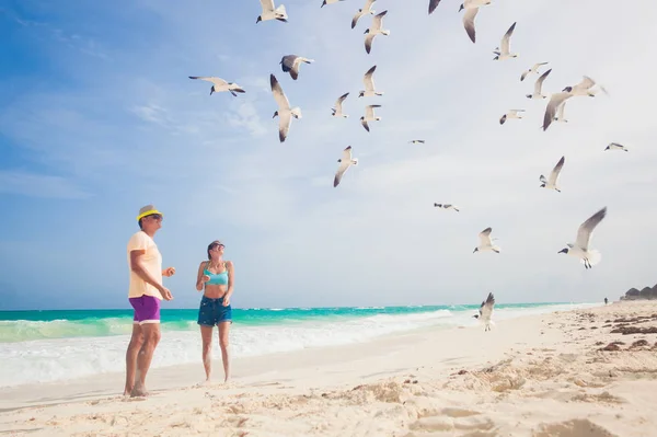Casal alimentando aves na costa do mar, gaivotas voando sobre duas pessoas andando pelo mar Imagem De Stock