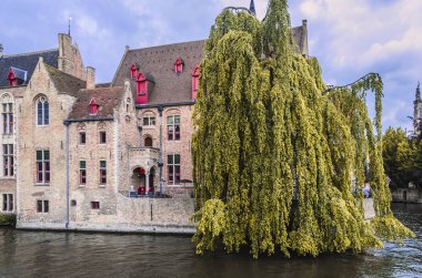 Ağacın dalları, Bruge kanalda sularına okşamak